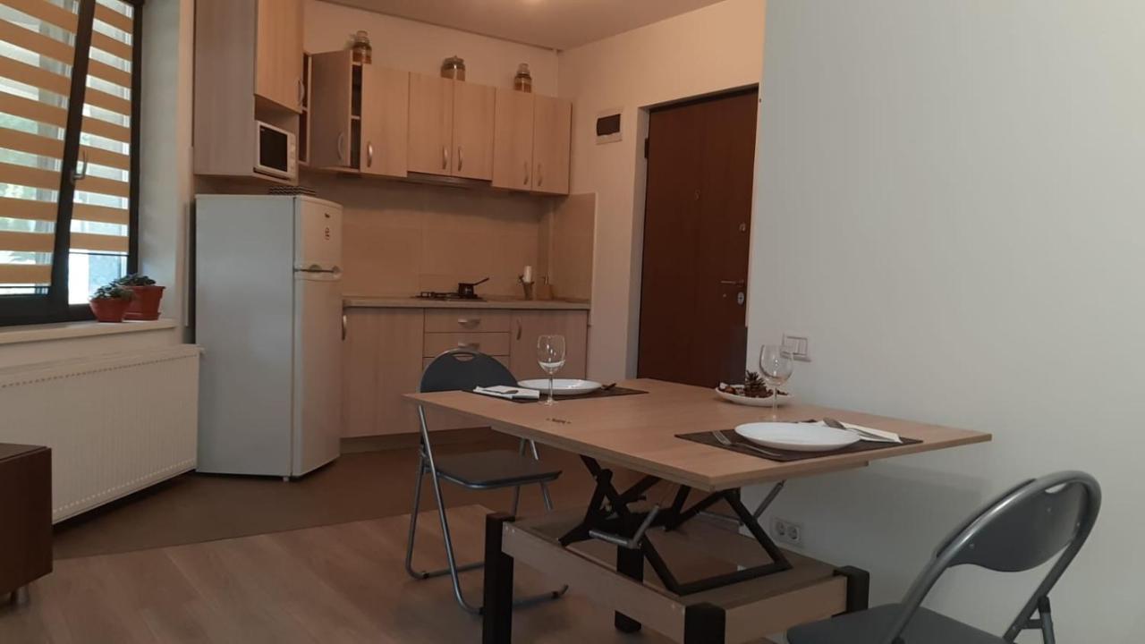 Casa Sara Daire Bükreş Dış mekan fotoğraf